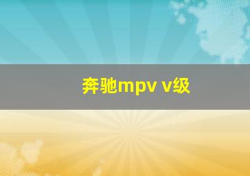 奔驰mpv v级